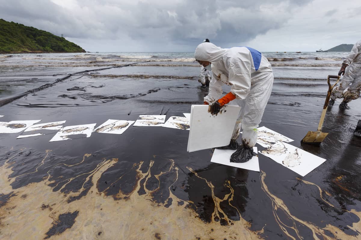 What Is Oil Absorbent Made Of