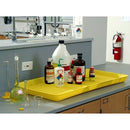 Lab Trays | HDPE Plastic Laboratory Trays