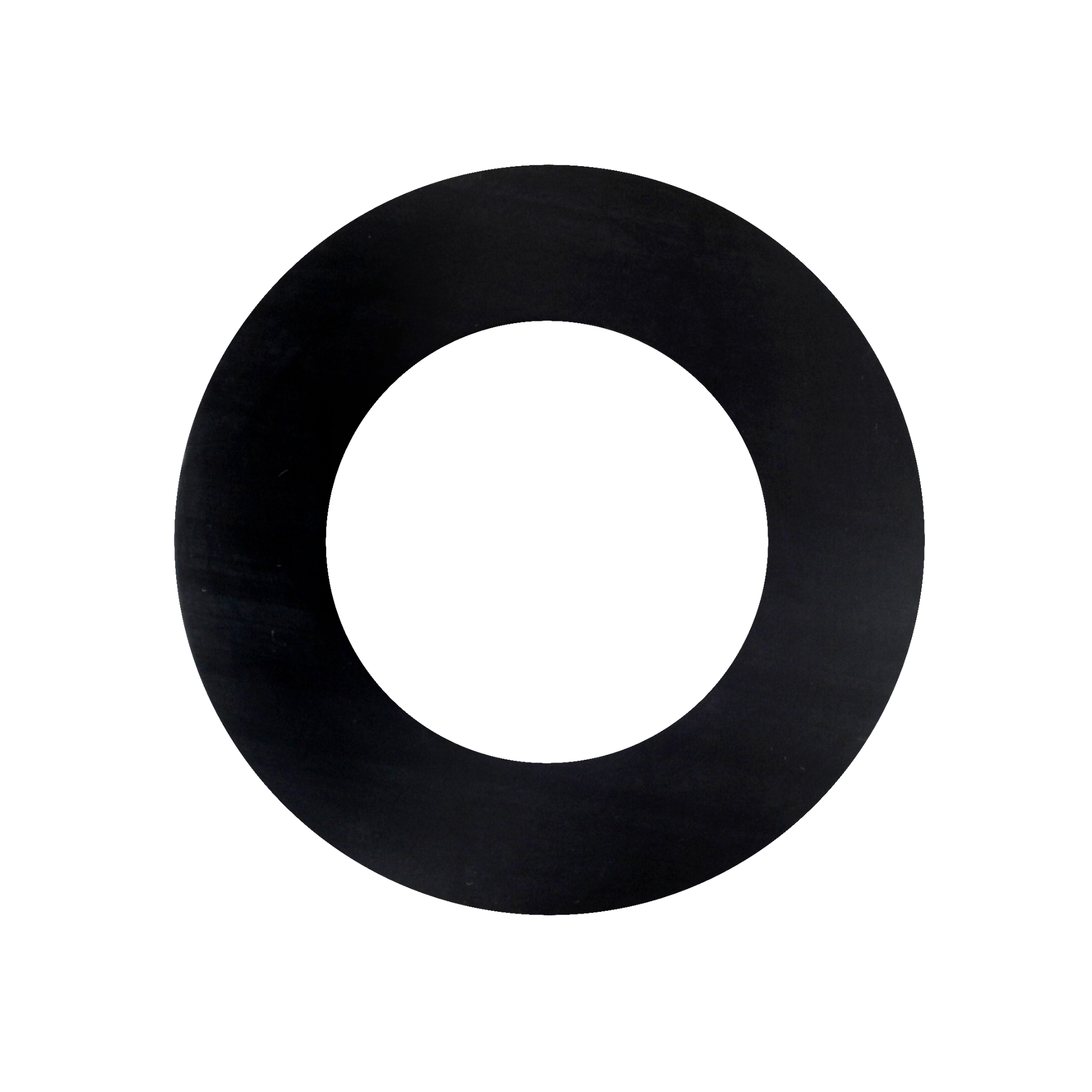 Aerosol Recycler 2in Viton Gasket - manufacturer product image 1