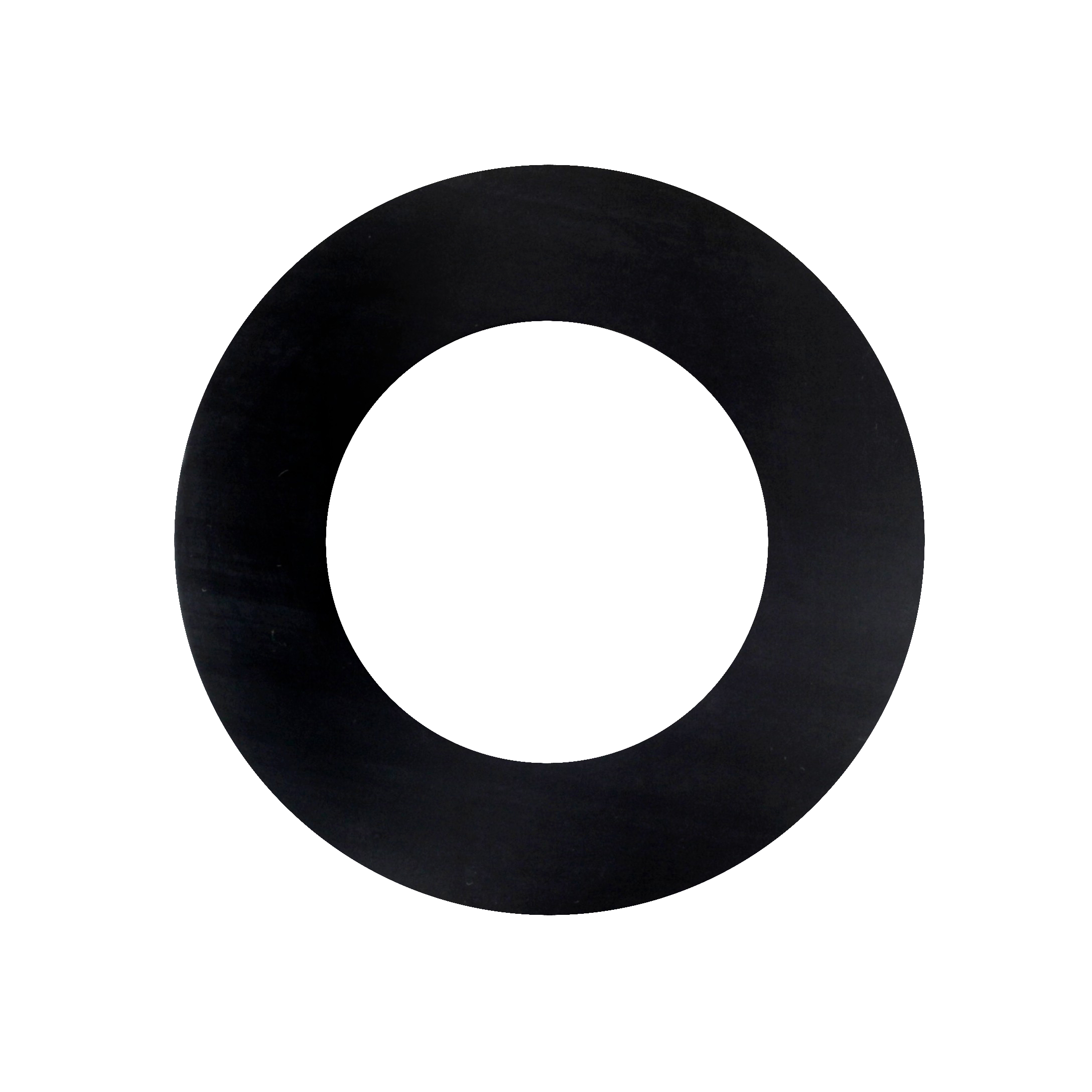 Aerosol Recycler 2in Viton Gasket - manufacturer product image 1