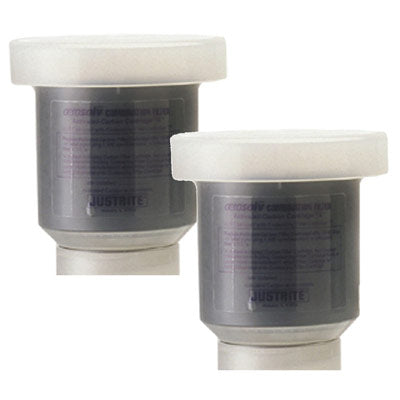 Aerosol Recycler Non-Color Changing Carbon Cartridge, 2Pk - Aerosol Can Recycling